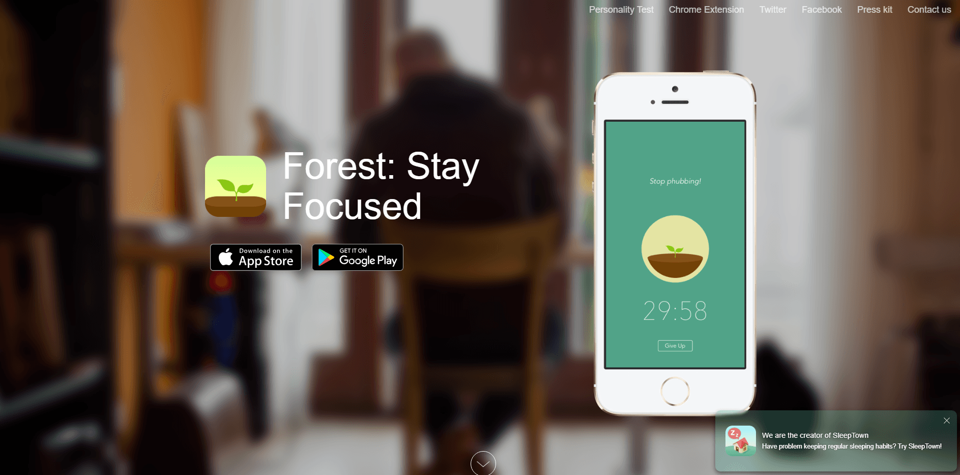 Forest